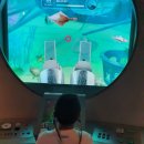 영산로 150 이미지