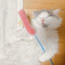 와우종합동물병원 이미지