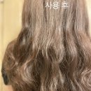 닛시레 이미지