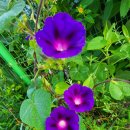 소을농장 이미지