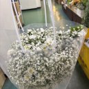 신세계원예 | [웨딩촬영] 고속버스터미널 꽃시장 | 안개꽃부케 거베라 쥬리원예 꽃시장가는법