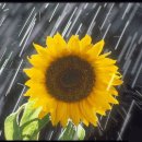 이쁜소리방 이미지