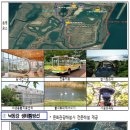 서부산생태투어 이미지