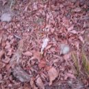 삼양축산 이미지