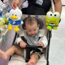 대하운수(주) | 오랜만에 후쿠오카여행 _ 13개월 아기와 1