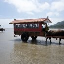 수레와달구지 이미지