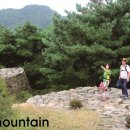 대전대신초교 이미지