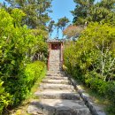 봉글레산 이미지