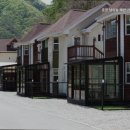 춘천남이섬애견가족전원마을펜션 이미지