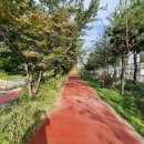 센트라포레 이미지