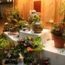 미니정원 이미지