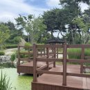 편백숲,쉼 | 순창 쉴랜드 건강한 식사, 편백숲 산책, 순창 농특산물 쇼핑 후기와 방갈로 예약 방법까지 총정리
