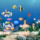 (주)뉴딘미다트 이미지