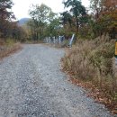 담양중정사지마애여래좌상 이미지