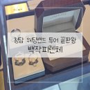청담PC | 청담 웨딩밴드 투어 끝판왕 백작피렌체