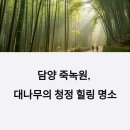 담양 대나무 축제, 죽녹원은 왜 힐링 명소 1위일까?