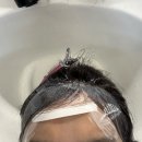 라헨느헤어라인