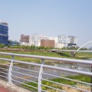 홍루이젠진주 이미지