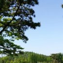 인천국제컨트리클럽 이미지