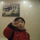 헤누 Daum카페