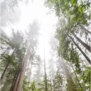 평온숲정신건강의학과의원 이미지