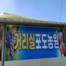 거리실농원 네이버블로그