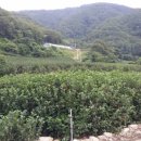 충실농장 이미지