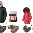 애니멀 패밀리 이미지