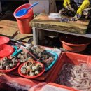 자연인관광펜션 이미지