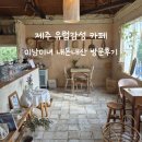 미남미녀 | [제주 유럽 감성 카페] 카페 미남 미녀 내돈내산 방문후기