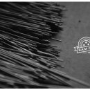 안경가게 봄 이미지