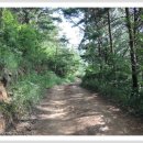 백일아침고요산길 이미지