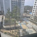 파인어플 | 강릉 자이파인베뉴 이사청소 반짝이청소 후기