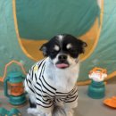 멍데이 살롱 이미지