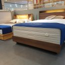 1141 | 🛏 대구 금성침대 이시아 직영점KS1141 퀸 프레임 + 에코미라클 Q 매트리스 배송 설치 후기