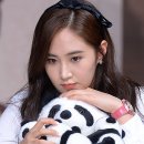 애니멀즈 이미지