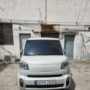 서울애견 미용실 이미지