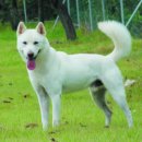 방주축산 이미지