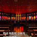 솔뫼성지 소나무 | 당진 가볼만한곳 솔뫼성지 성지순례길 후기 김대건 신부 탄생지까지 정리