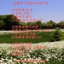 석은수 이미지