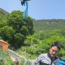 덕포농장 이미지