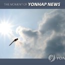 무지갯빛 이미지