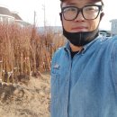 상일농원 이미지