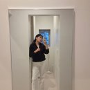 프로퍼밀도 이미지