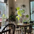 사림동285 | [창원] 사림동 브런치 카페 샌드위치 맛집 윌로