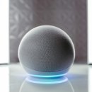 모건카써비스 이미지