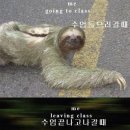 공감 이미지