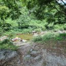 고씨동굴펜션 | 단양민들레펜션 - 단양가족독채펜션 찾는다면 여기가 정답!