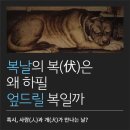 복 - 서구 대영로 37 | 복