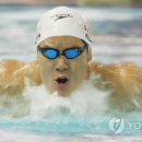 박태환 카카오 검색결과